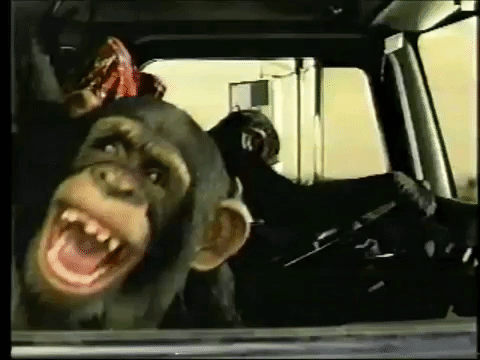 Monkey Drivers